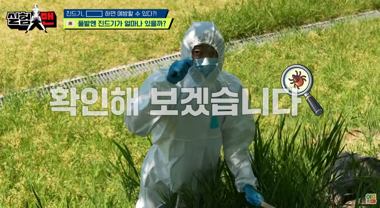 진드기, 이렇게 하면 예방할 수 있다?!